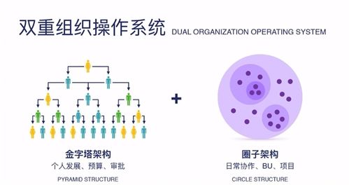 数字化转型下的人才管理与组织模式升级