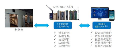 对虾养殖水体的稳定该如何监控如何维护